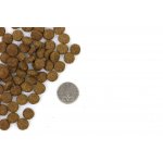 Marp Holistic Sterilised Cat pro kastrované a starší kočky 0,5 kg – Hledejceny.cz