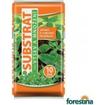 Forestina Standard substrát pro výsev a množení 10 l – Sleviste.cz