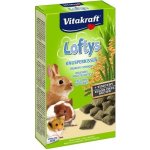 Vitakraft Rodent Lofty´s all rodent 100 g – Sleviste.cz