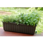Plastia Samozavlažovací truhlík SIESTA LUX 60x20x19 cm hnědý – Zboží Mobilmania