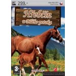 Hřebčín U Bílého potoka – Zboží Dáma