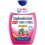 Vademecum 2v1 Junior kombinace zubní pasty a ÚV Jahoda 75 ml – Hledejceny.cz