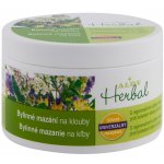 Alpa Herbal bylinné mazání na klouby 250 ml – Zboží Dáma