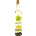 Cannabis Vodka 40% 0,5 l (holá láhev) – Zboží Dáma