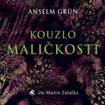 Kouzlo maličkostí - Grün Anselm – Zboží Dáma