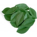 Hospodyňkám.cz List z jedlého papíru zelený 20ks – Sleviste.cz