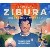 Audiokniha Prázdniny v Česku - Ladislav Zibura - Čte Martin Písařík a Alexander Hemala