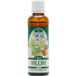 Naděje Hloh tinktura z pupenů rostlin 50 ml – Hledejceny.cz