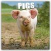 Kalendář Pigs Schweine 16-Monats 2024