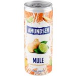 Amundsen Mule vodka & zázvor & limeta & soda 6% 0,25 l (plech) – Zboží Dáma
