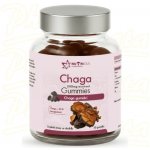 Nutricius Chaga 500 mg gummies 60 ks – Hledejceny.cz