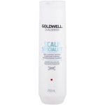 Goldwell Dualsenses Scalp Specialist Sensitive Foam Shampoo 250 ml – Zboží Dáma