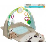 Fisher Price Hrací dečka s lenochodem – Hledejceny.cz