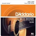 D'addario EJ10 – Sleviste.cz