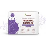 Blendea Vitamíny pro těhotné 60 kapslí – Hledejceny.cz