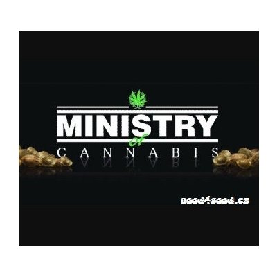 Ministry of Cannabis Auto Blueberry Domina semena neobsahují THC 5+1 ks – Zbozi.Blesk.cz