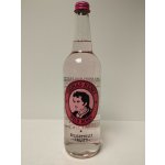 Thomas Henry Wild Berry 0,75 l – Zboží Dáma