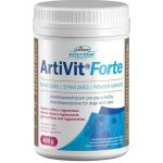 Nomaad Artvit Forte prášek 400 g – Hledejceny.cz