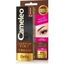 Přípravky na obočí Delia Cosmetics Cameleo krémová profesionální barva na obočí 4.0 Brown 15 ml