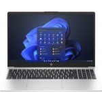 HP 250 G10 AK9W8AT – Zboží Živě