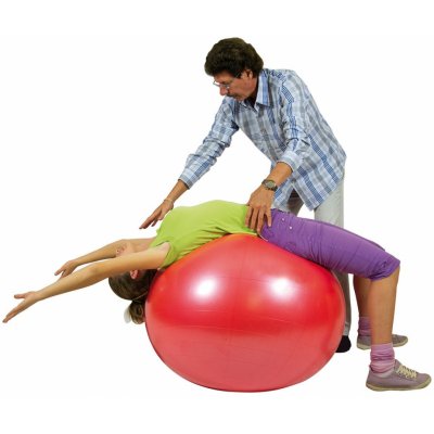 Ledraplastic Gymnic Body ball BRQ 55 cm