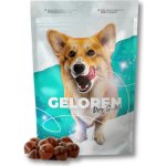 Geloren S-M kloubní výživa pro malé a střední psy 180 g 60 ks – Sleviste.cz