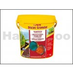 Sera Diskus granulát 10 L – Zbozi.Blesk.cz