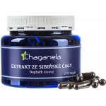 Chaganela Čaga extrakt 270 kapslí – Hledejceny.cz