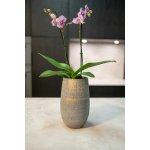 Ter Steege Váza Renzo shiny grey D27 H50 – Hledejceny.cz