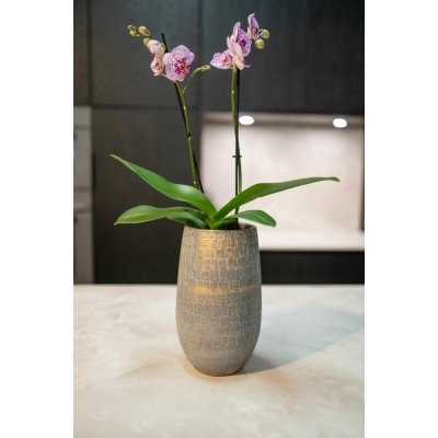 Ter Steege Váza Renzo shiny grey D27 H50 – Hledejceny.cz