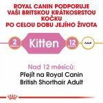 Royal Canin British Shorthair Kitten 2 kg – Hledejceny.cz