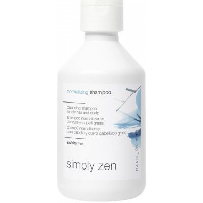 Bioearth Normalizing Shampoo pro mastné vlasy 250 ml