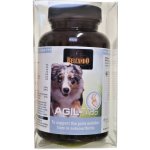Belcando Agil 60 tbl – Hledejceny.cz