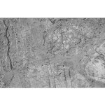 Dimex MS-5-0173 vliesová fototapeta na zeď Betonová podlaha rozměry 375 x 250 cm – Sleviste.cz