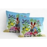 Matějovský Krtek v autě 40 x 40 cm – Sleviste.cz