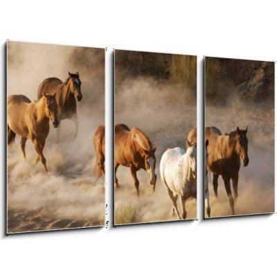 Obraz 3D třídílný - 90 x 50 cm - wild horses running divoké koně běží – Zboží Mobilmania