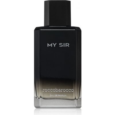 Roccobarocco My Sir parfémovaná voda pánská 100 ml