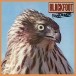 Blackfoot - Marauder CD – Hledejceny.cz