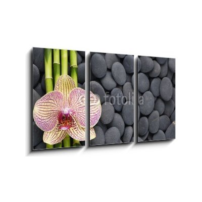 Obraz 3D třídílný - 90 x 50 cm - Gorgeous orchid and thin bamboo grove on pebbles Nádherná orchidej a tenká bambusová háj na oblázcích – Zboží Mobilmania