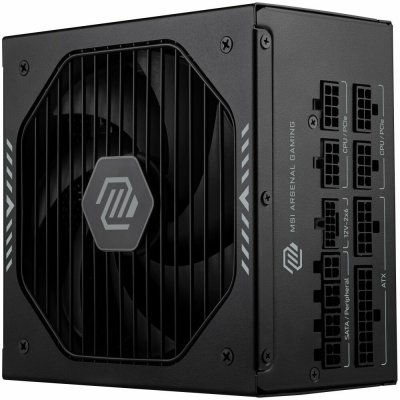 MSI MAG A1000GLS PCIE5 1000W 306-7ZPIX11-CE0 – Zboží Živě