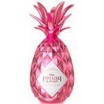 Pinaq Rosé 17% 1 l (holá láhev) – Hledejceny.cz