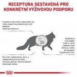 Royal Canin Veterinary Diet Cat Hepatic 2 kg – Hledejceny.cz