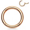 Piercing Šperky4U piercing segment kruh zlacený K01039RD-1612