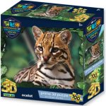 PRIME 3D PUZZLE GES Ocelot 100 ks – Hledejceny.cz