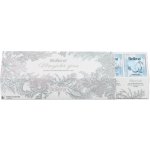 Biogena Magická zima vánoční kazeta čajů 4 x 12 ks – Hledejceny.cz