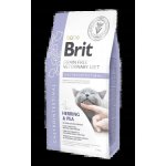 Brit Veterinary Diets Cat GF Gastrointestinal 2 kg – Zboží Dáma