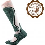 VoXX CARVING dětské lyžařské podkolenky – Hledejceny.cz