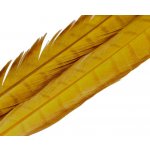Hends Products bažant ocastní peří Pheasant Tail Žlutá – Hledejceny.cz