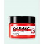 Some By Mi Snail Truecica Miracle Repair Cream 60 ml – Zboží Mobilmania