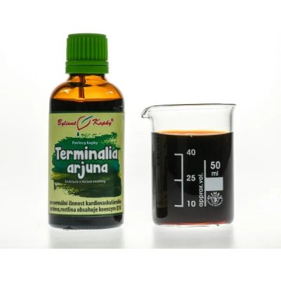 Bylinné kapky Pavlovy bylinné kapky Terminalia arjuna tinktura 50 ml – Hledejceny.cz
